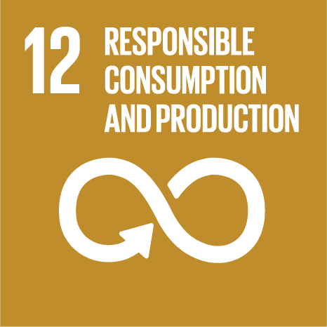 SDG Icon