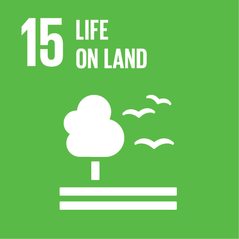 SDG Icon